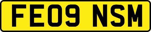 FE09NSM