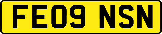 FE09NSN