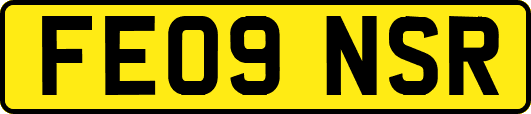 FE09NSR