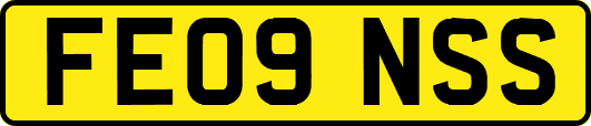 FE09NSS