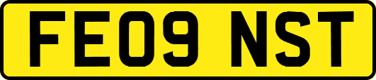 FE09NST
