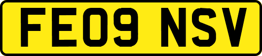 FE09NSV