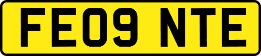 FE09NTE