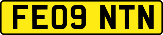 FE09NTN