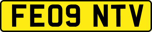 FE09NTV