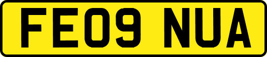 FE09NUA