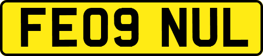 FE09NUL