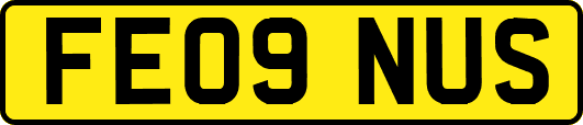 FE09NUS