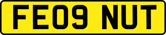 FE09NUT