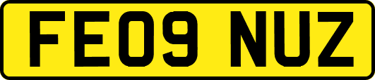 FE09NUZ