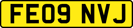 FE09NVJ