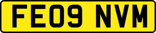FE09NVM