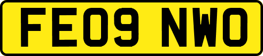 FE09NWO