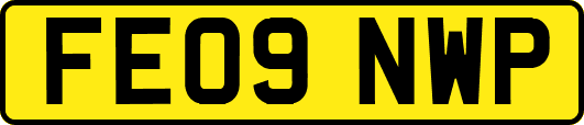 FE09NWP
