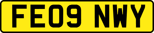 FE09NWY