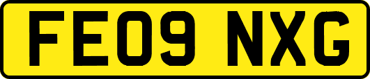 FE09NXG