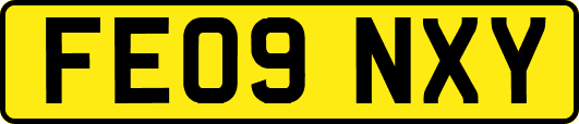 FE09NXY