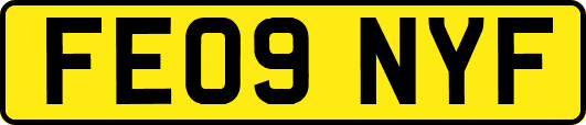 FE09NYF