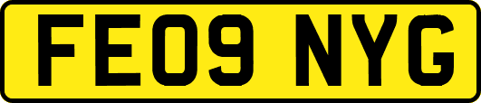 FE09NYG