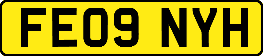 FE09NYH
