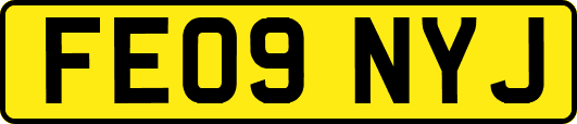 FE09NYJ