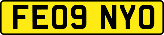 FE09NYO