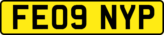 FE09NYP