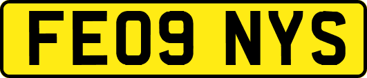 FE09NYS