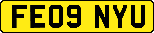 FE09NYU