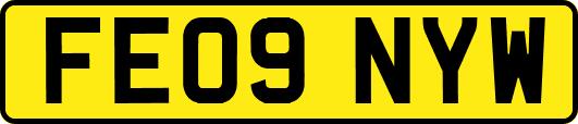 FE09NYW