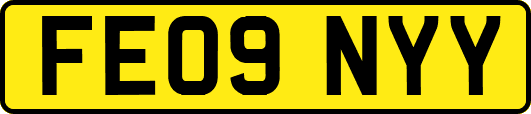 FE09NYY