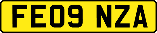 FE09NZA