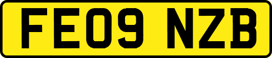 FE09NZB