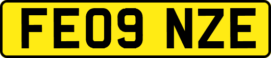 FE09NZE