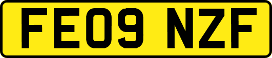FE09NZF