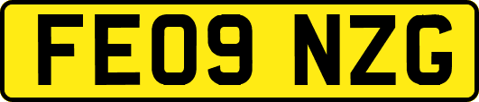 FE09NZG