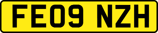 FE09NZH
