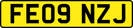 FE09NZJ