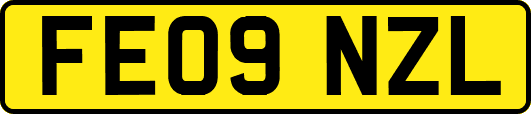 FE09NZL