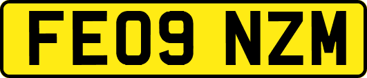 FE09NZM