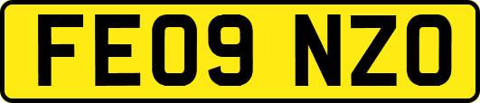FE09NZO