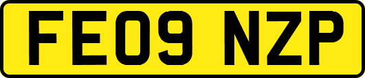 FE09NZP