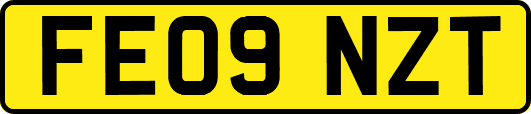 FE09NZT