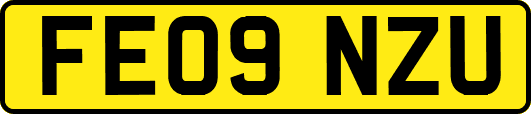 FE09NZU
