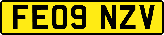 FE09NZV