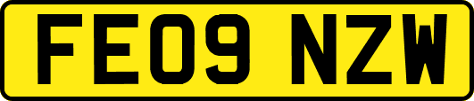 FE09NZW