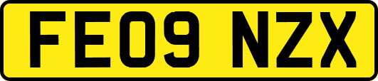 FE09NZX