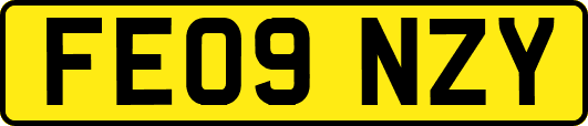 FE09NZY