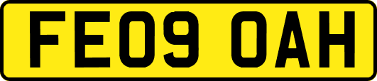 FE09OAH