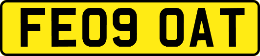 FE09OAT